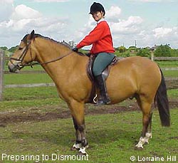 preparing to dismount a horse