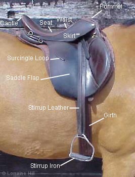 points of saddle