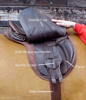 parts of saddle