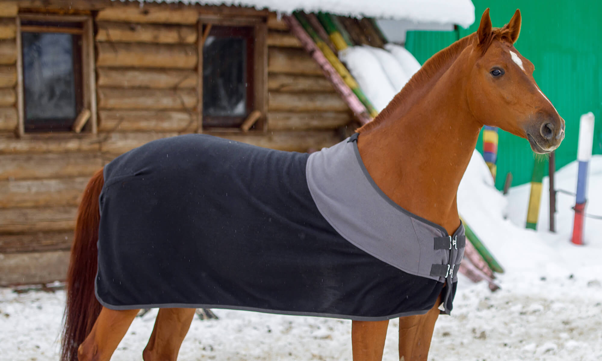 horse cooler rugs