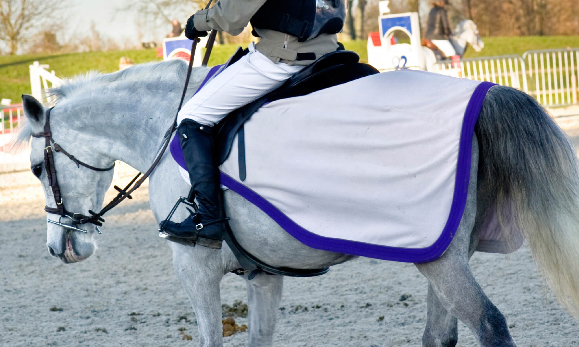 horse exercise rugs