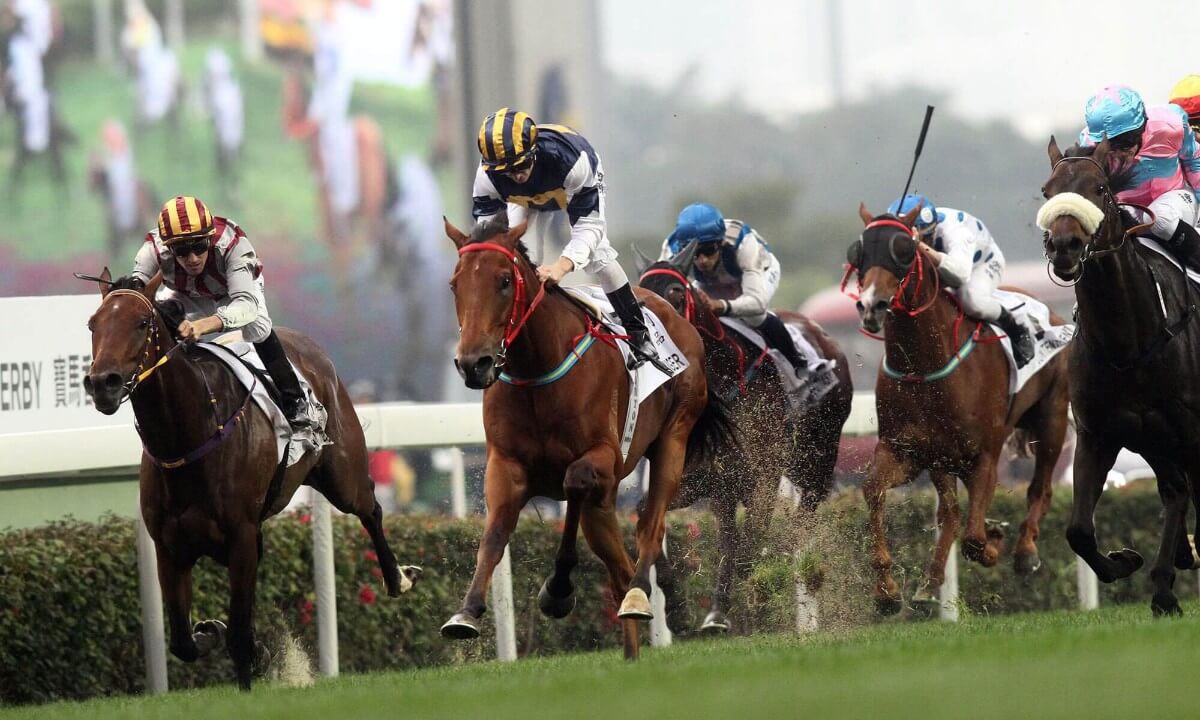 horse racing