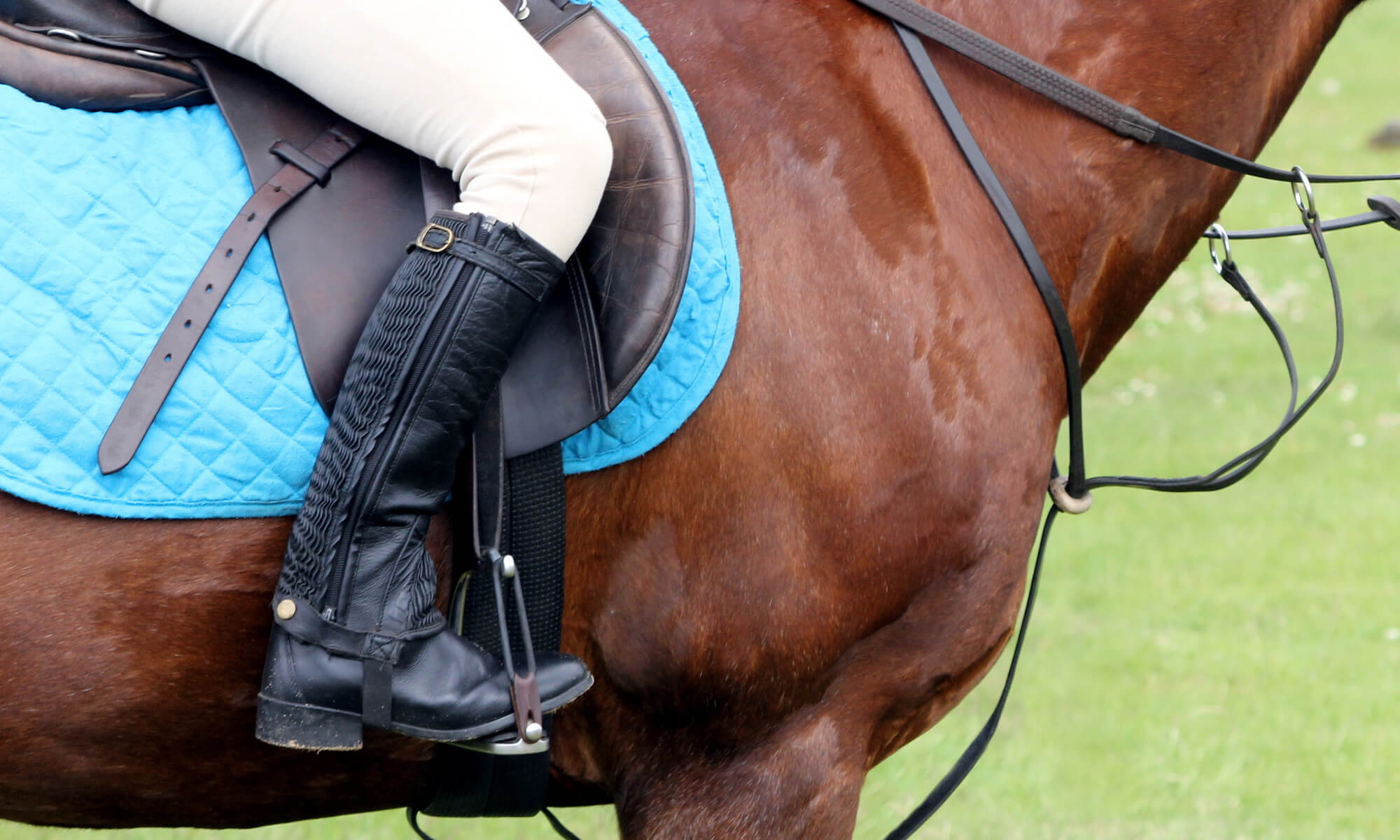 horse riding chaps and gaiters