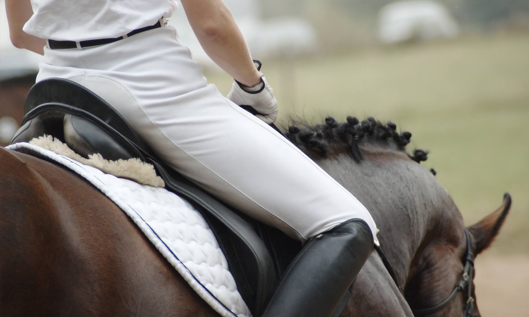 horse riding jodhpurs and breeches