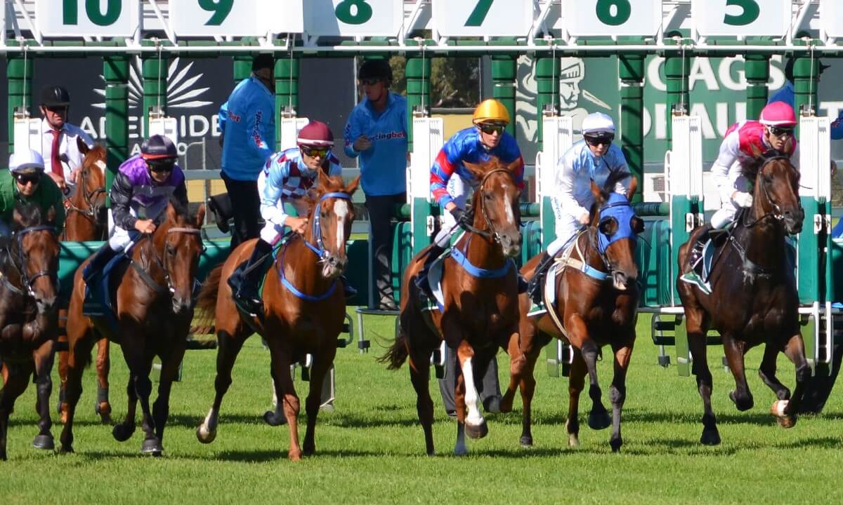 horse racing